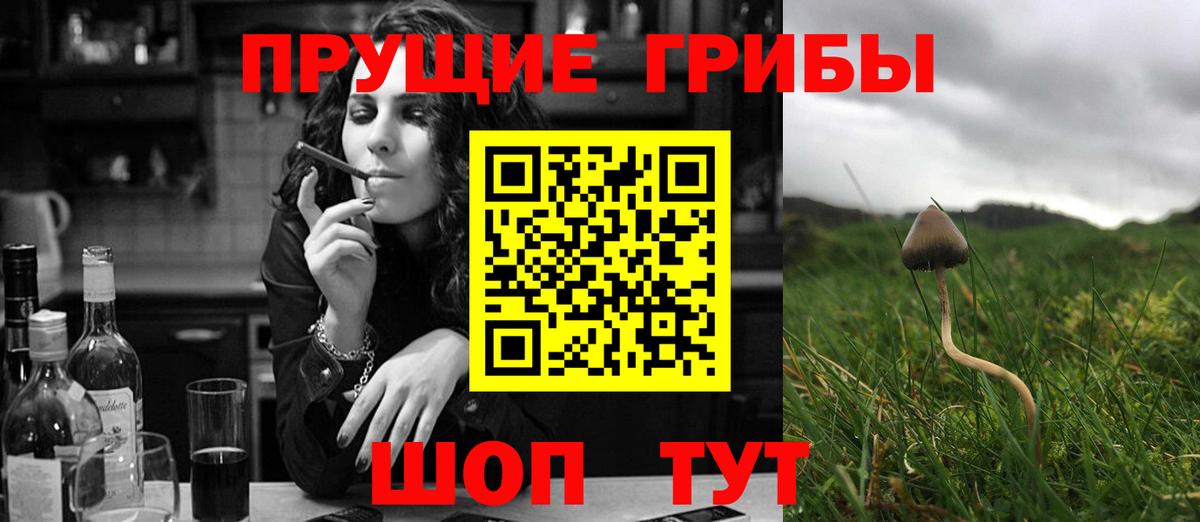 Артёмовский  Галлюциногенные грибы прущие грибы  Вход с VPN 